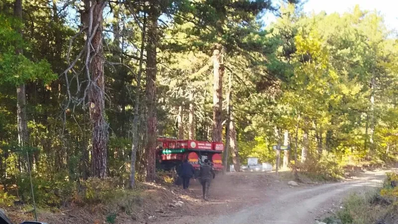 Domaniç'te Ot Yangını Çıktı