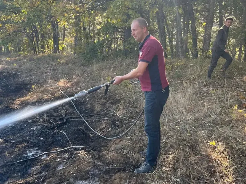 Domaniç'te Ot Yangını Çıktı